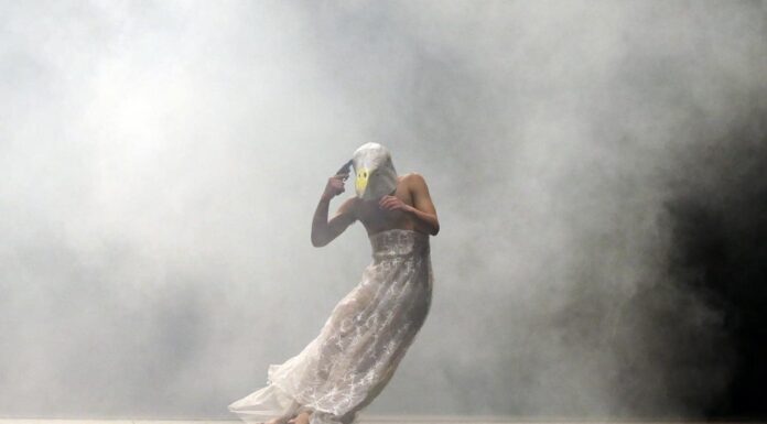 Zece observații despre Pescărușul lui Eugen Jebeleanu