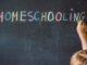 Homeschooling în România. Cât te costă un an de școală și cum poți opta pentru varianta învățatului de acasă