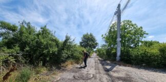 Mașini distruse pe drumurile județene. Omniasig a dat în judecată Consiliul Județean pentru a recupera daunele plătite șoferilor