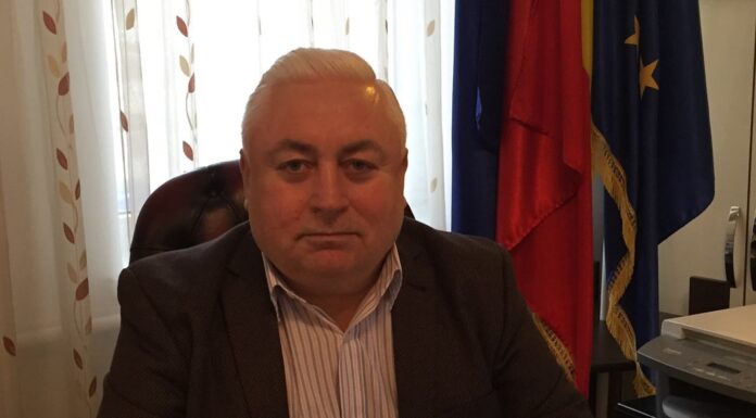 Ionel Vatamanu, primarul orașului Târgu Frumos, fals în declarația de avere. ANI i-a făcut plângere penală la Parchet