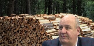 Primăria Ciurea a aranjat până și contractul pentru încălzirea școlilor. Ocolul Silvic din comună vinde lemn de foc la jumătate de preț