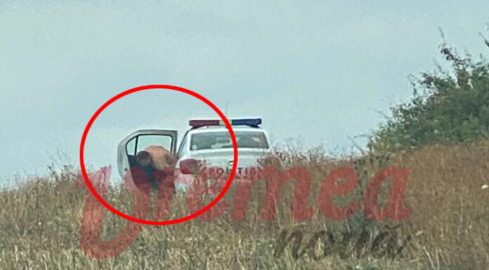 Polițist gol pușcă în ”misiune” alături de o colegă de serviciu. Unde a dus ancheta ordonată de ministrul Bode