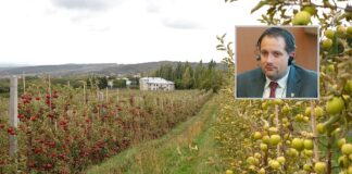 Un mic fermier luptă cu milionarii Stegariu de la Strunga. „Mă forțează să le cedez terenul”