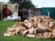 Sistemul cretin! Cum i-a furat statul român lemnele de foc unei bătrâne bolnave de cancer