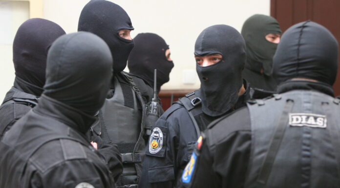 Descinderi la mafia lemnelor din România: funcționari publici, săltați cu mascații