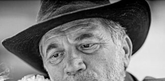 Liviu Antonesei: „Pentru politicienii zilei cultura a devenit a cincea roată la căruță”