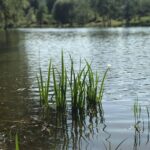 lacul doi peri 2