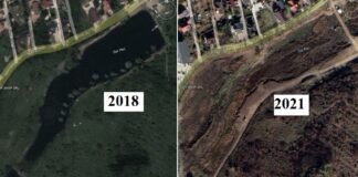 Dezastru ecologic în Bucium: rechinii imobiliari au ras un lac de pe fața pământului. „Toată fauna ce viețuia pe și pe lângă lac a dispărut”