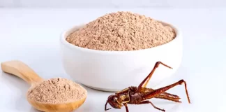 Făina de greieri a fost aprobată de UE ca aliment: se va folosi în pizza, sosuri, supe și prăjituri