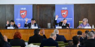 O armată de politicieni s-a mobilizat ca la război: au concediat o femeie care întreține singură un copil și o bătrână