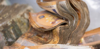 Cum a încercat să păcălească ANAF milionara cu salariu de 500 de lei: donații și împrumuturi de la pensionari și persoane fictive