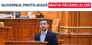 Deputatul USR, Filip Havârneanu declară război păcănelelor și educației cu zarul