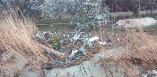 Dezastru ecologic pe pârâul Vămășoaia! Gunoaiele de la casele din Bârnova și Bucium au umplut cursul de apă – FOTO, VIDEO