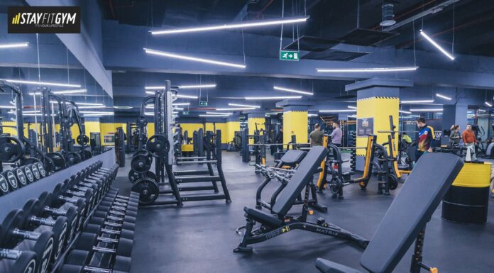 Stay Fit Gym, una dintre cele mai mari reţele de fitness & aerobic din România, va deschide prima sa locaţie din Iaşi, în Palas Campus