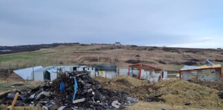 Flagrant al Gărzii de Mediu. Șefii Primăriei Miroslava au încercat să scape de dosar cu documente făcute pe genunchi