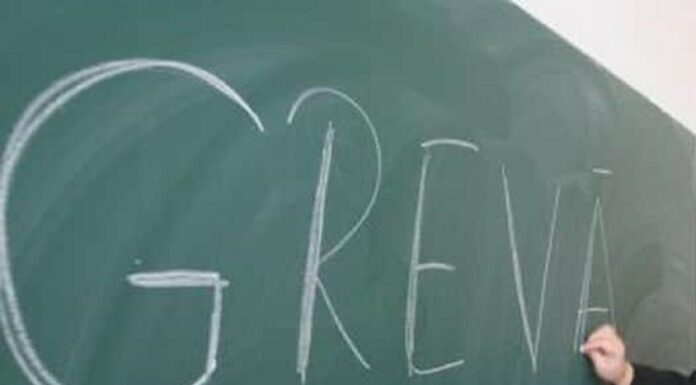 Greviștii nu primesc salariu – Ministerul Educației a informat inspectoratele școlare, după ce sindicatele au instigat la falsificarea pontajelor