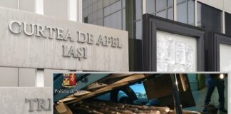 Aventura incredibilă a unui traficant în Iași: căutat pentru o captură de 144 kilograme de cannabis, s-a predat singur poliției, dar a fost lăsat liber