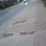 6d053790-4b90-4408-9edb-22b1393400eb