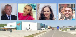 Partea leului: o felie din Parcul Industrial a ajuns la familia Niță. Fiica, fiul și nora primarului, o rețea-căpușă de milioane de euro