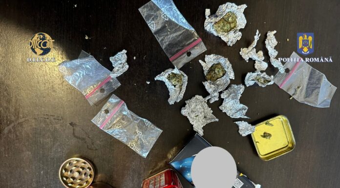 Rețea de dealeri de cannabis în Iași! Percheziții făcute de DIICOT în municipiu- FOTO, VIDEO