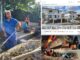 Escrocherie imobiliară sub protecția primarului. Falși angajați Apavital au branșat ilegal un cartier de vile