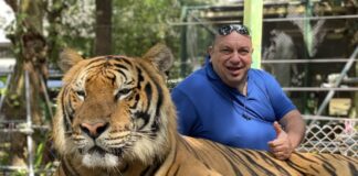 Mops, vicepreședintele Poli Iași: o terasă și o bază sportivă construite ilegal pe terenul Universității Tehnice