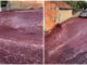VIDEO Șoc pentru locuitorii unui orășel: tone de vin au început să curgă pe străzi. Nimeni nu știe ce a provocat dezastrul
