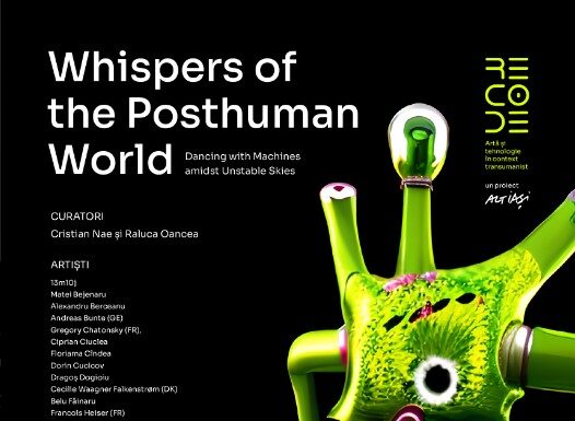 Expoziție internațională de artă și tehnologie la Baia Turcească din Iași