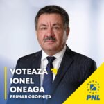 primar gropnita ionel oneaga