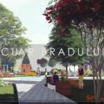 scuar bradului