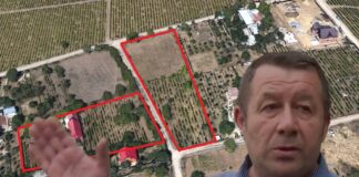 Ascensiunea Clanului Bălan: firma-căpușă a primăriei, preluată de fiul primarului. Bonus: canalizare din bani publici până la terenurile juniorului