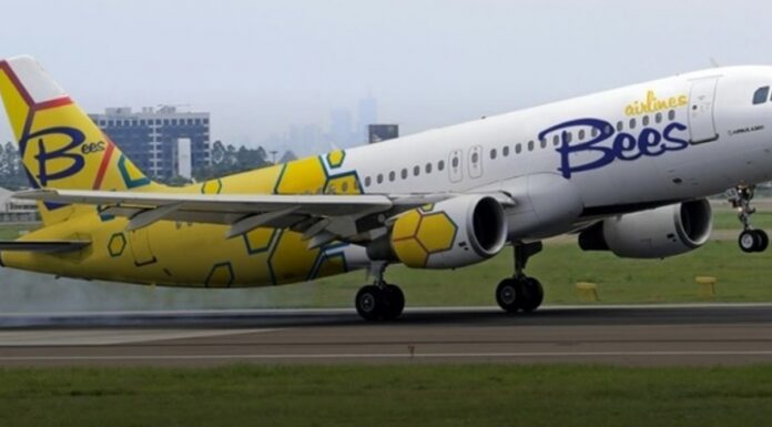 S-a lansat o nouă companie aeriană în România, condusă de un fost șef din TAROM