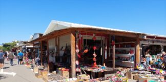 Trei instituții își pasează vina în cazul unui ieșean sfâșiat de câinii fără stăpân. Despăgubirile, cât leafa unui director din Primărie