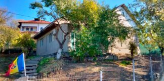 Procesul care deschide Cutia Pandorei: despăgubiri pentru o autorizație blocată timp de 4 ani de Primăria Iași