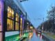 FOTO VIDEO Trafic blocat pe Copou. O mașină și un tramvai au fost avariate din cauza unui copac căzut
