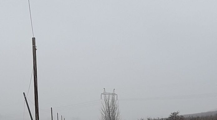 FOTO Accident rutier cu victime lângă Târgu Frumos. Două persoane au decedat