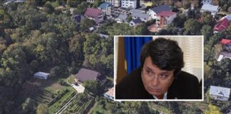 Pensionarul de lux de la Romsilva: impozit zero pentru terenul luat pleașcă de la stat