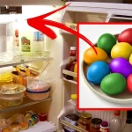 Câte zile pot fi păstrate ouăle fierte în frigider. Semne că trebuie aruncate imediat