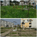 scuar romana 2024-2025