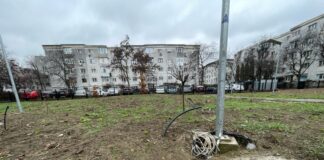 Iașul verde: Garda de Mediu a amendat din nou Primăria. Tăierile de copaci sunt făcute haotic, registrul spațiilor verzi nu este actualizat