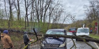 Incompetența Primăriei, decontată din banii ieșenilor. Daune de 24.000 de euro pentru două mașini distruse de copacii prăbușiți la Ciric
