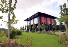 VIDEO – 25 ani de IULIUS: 3 grădini urbane amenajate de la zero în Iași, Timișoara și Cluj-Napoca, 18 hectare spații verzi, peste 80.000 arbori maturi și arbuști