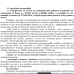 raport curtea de conturi