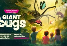 Expoziția educativă „Giant Bugs” aduce la Palas o lume nevăzută, mărită de mii de ori (P)
