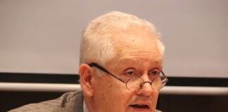 Fostul ambasador al României la Viena, prins de ANAF cu venituri nedeclarate de 40.000 euro. Ieșeanul Andrei Hoișie contestă executarea silită