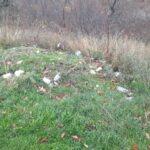 PHOTO-2025-11-09-12-42-09