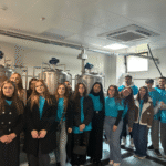 Screenshot 2025-11-11 080041