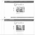 dascalu print screen materiale 1