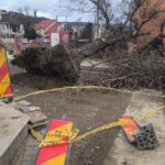 FOTO- Vântul a făcut ravagii în județul Iași: 17 arbori căzuți, 4 mașini avariate, întreruperi în alimentarea cu electricitate