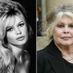 Brigitte Bardot a murit. Actrița avea 91 de ani